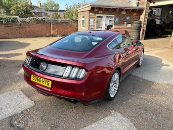 Used Ford Mustang 2016 for sale - 79487334: Photo