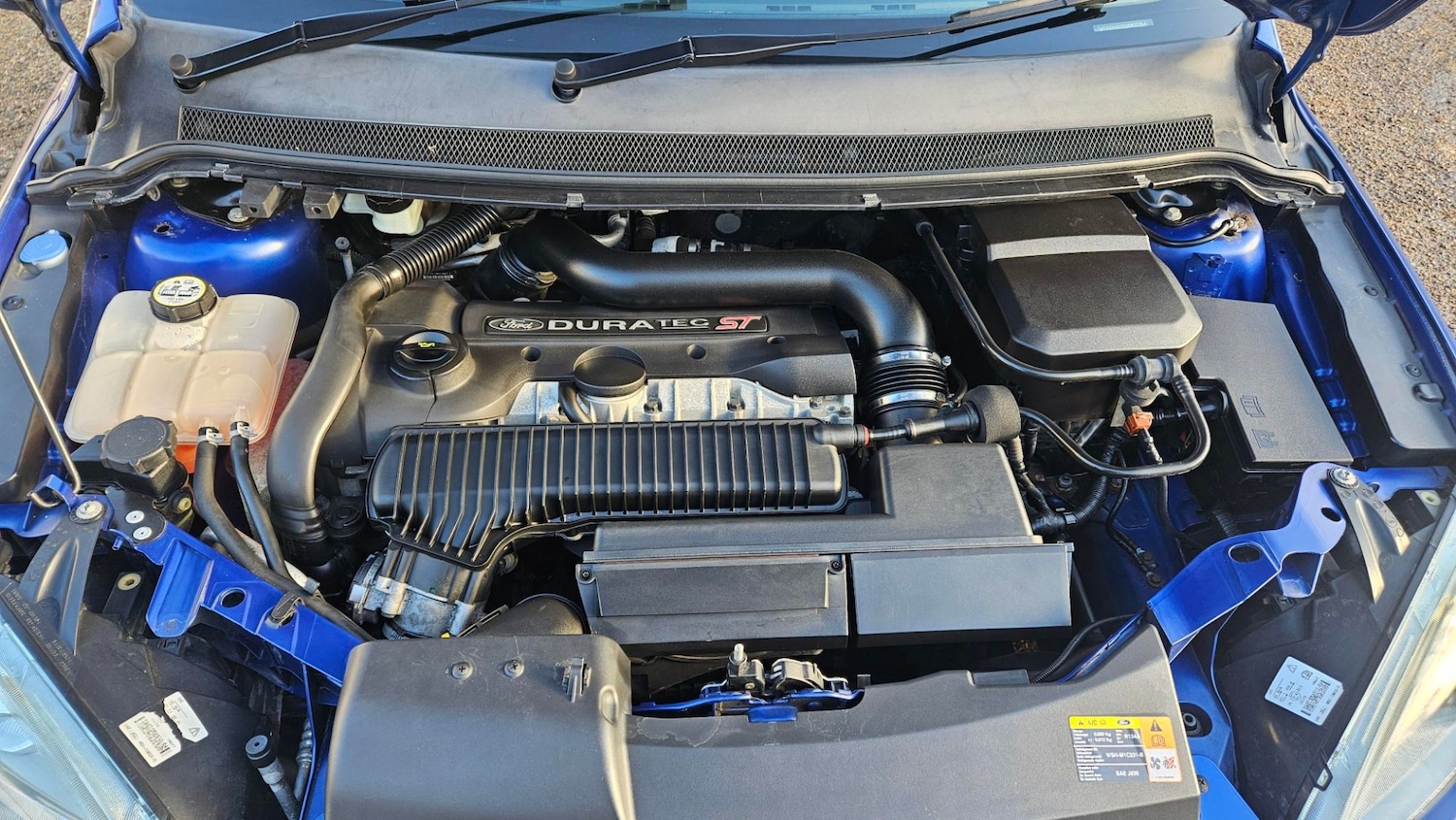 Used Ford Focus 2006 for sale - 77023266: Photo 12