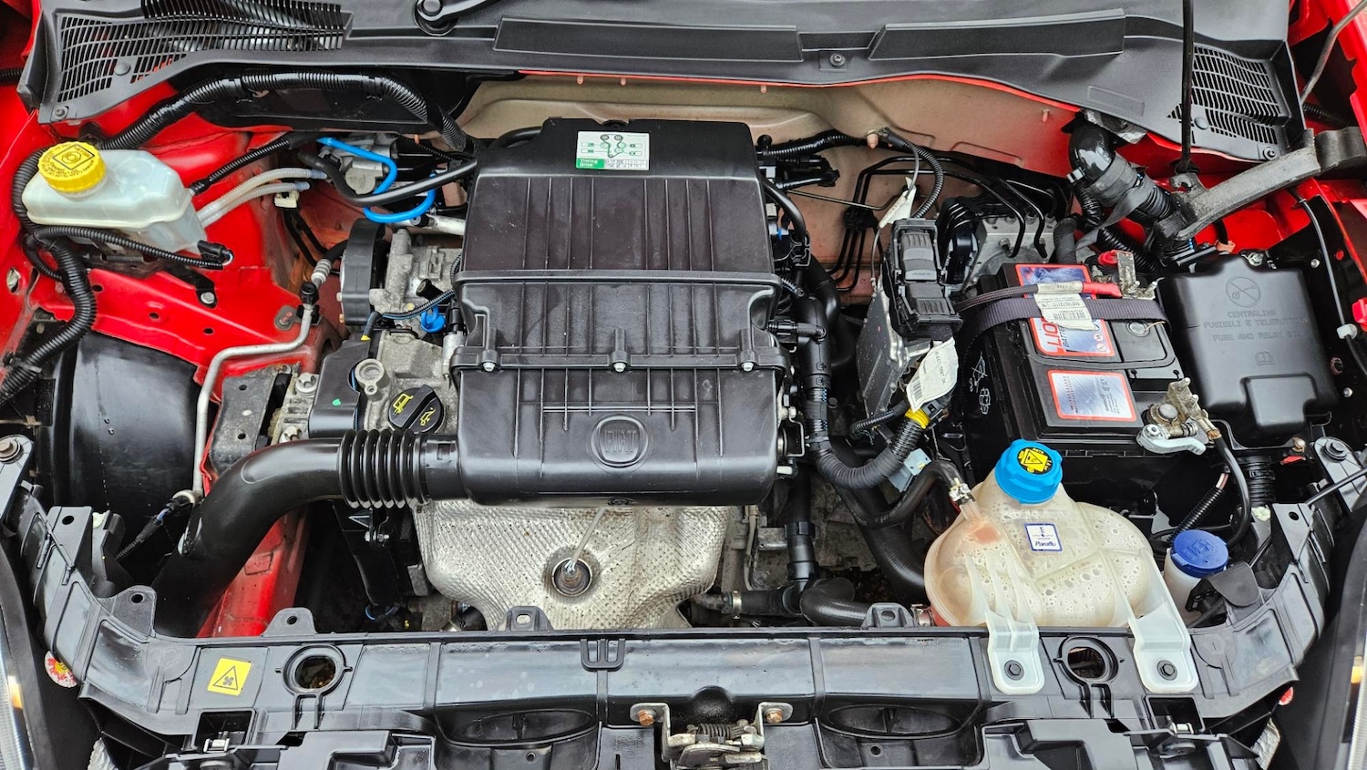 Used Fiat Punto 2014 for sale - 77375990: Photo 13