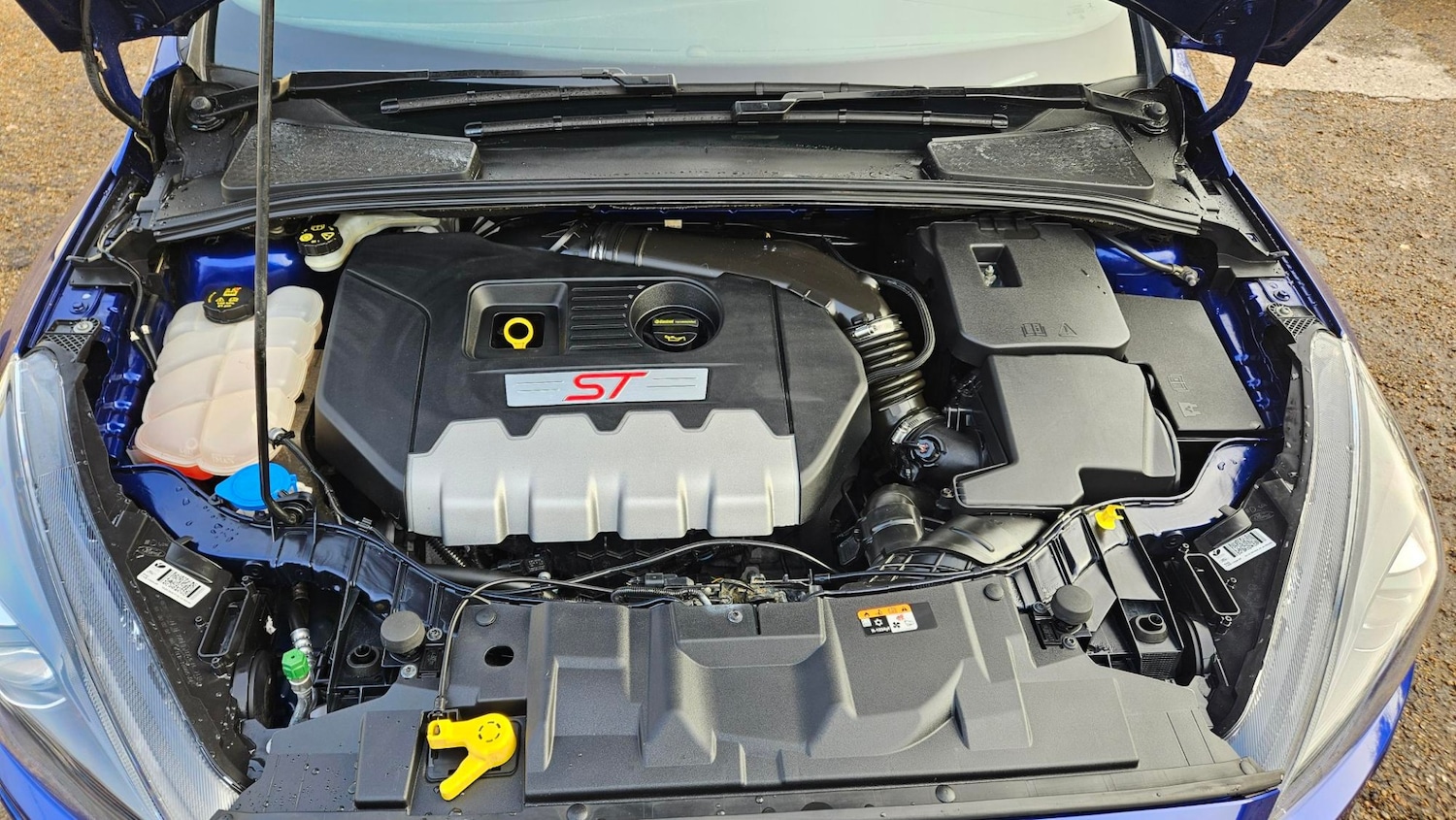 Used Ford Focus 2017 for sale - 76791259: Photo 14