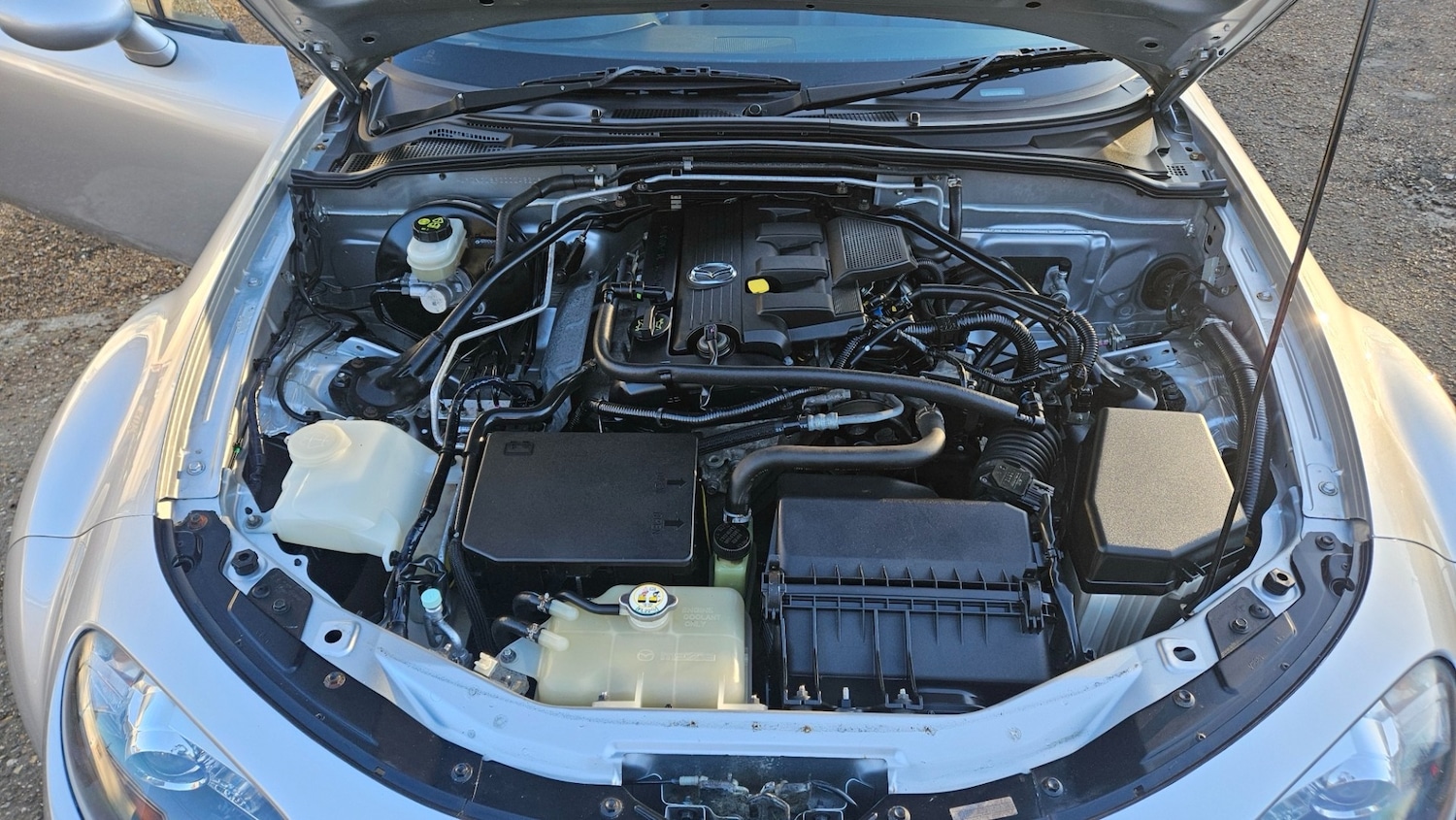 Used Mazda MX-5 2008 for sale - 77568448: Photo 11