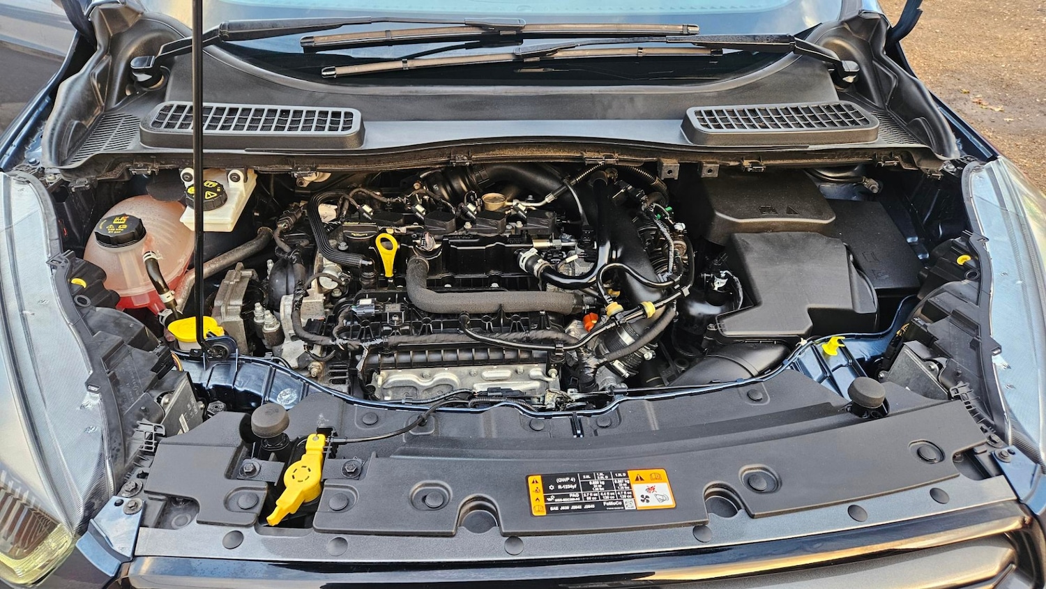 Used Ford Kuga 2019 for sale - 76858636: Photo 13