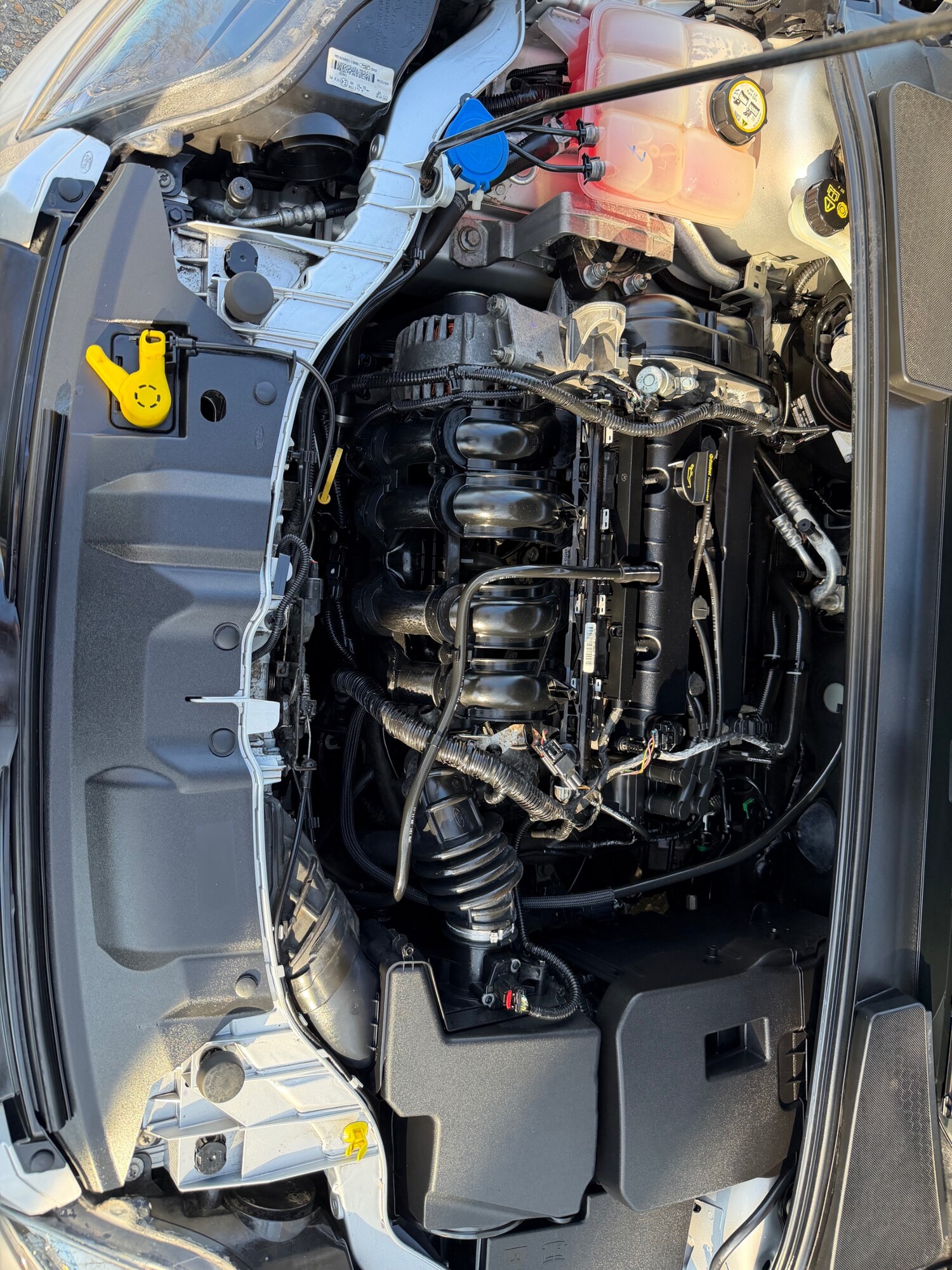 Used Ford Focus 2012 for sale - 78108977: Photo 25