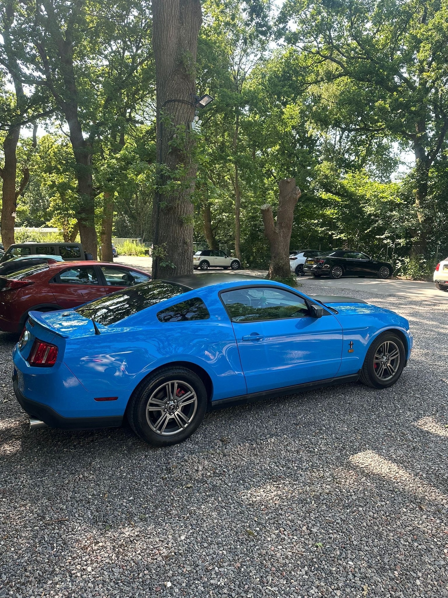 Used Ford Mustang 2012 for sale - 77562430: Photo 4