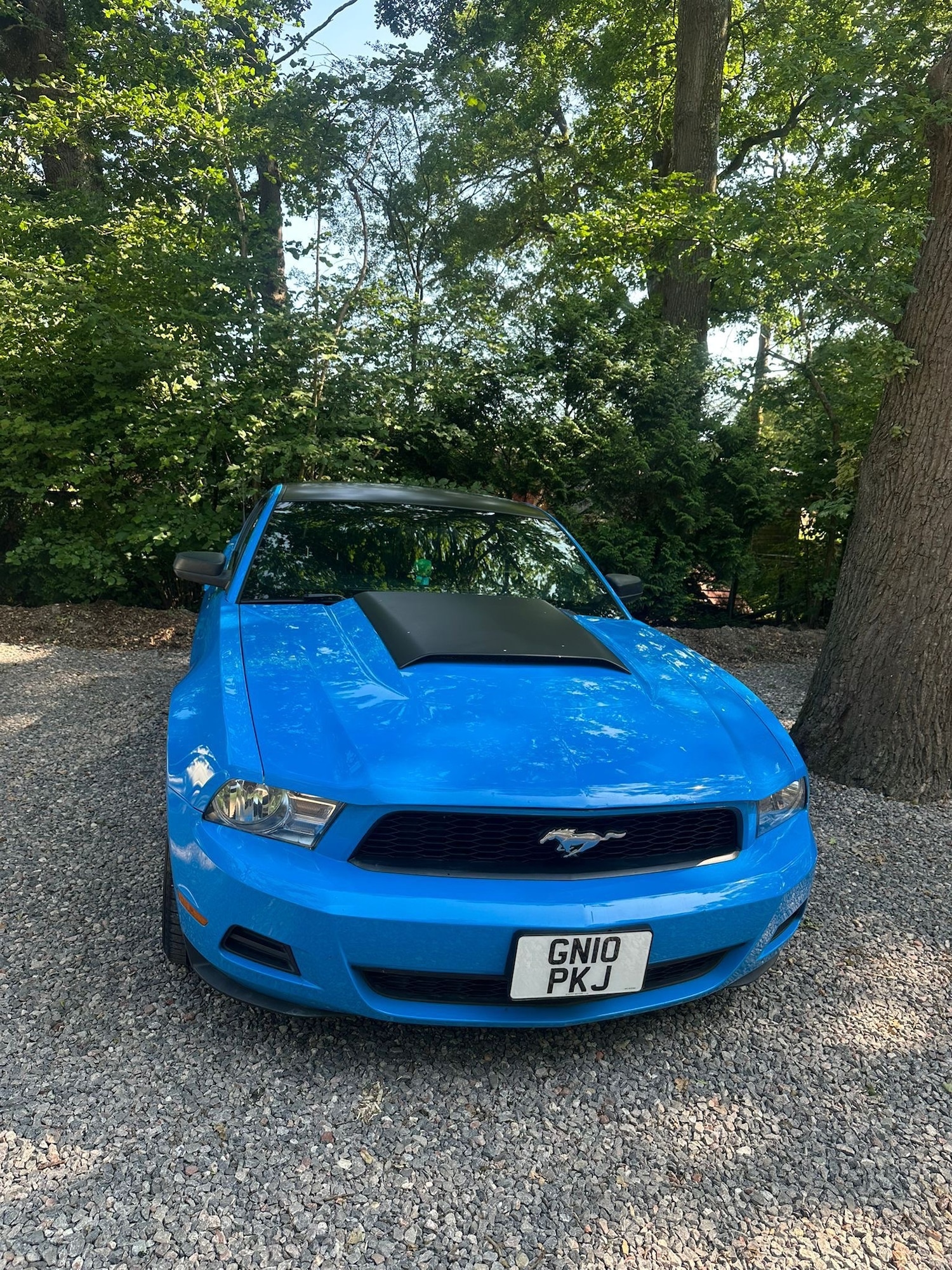 Used Ford Mustang 2012 for sale - 77562430: Photo 5
