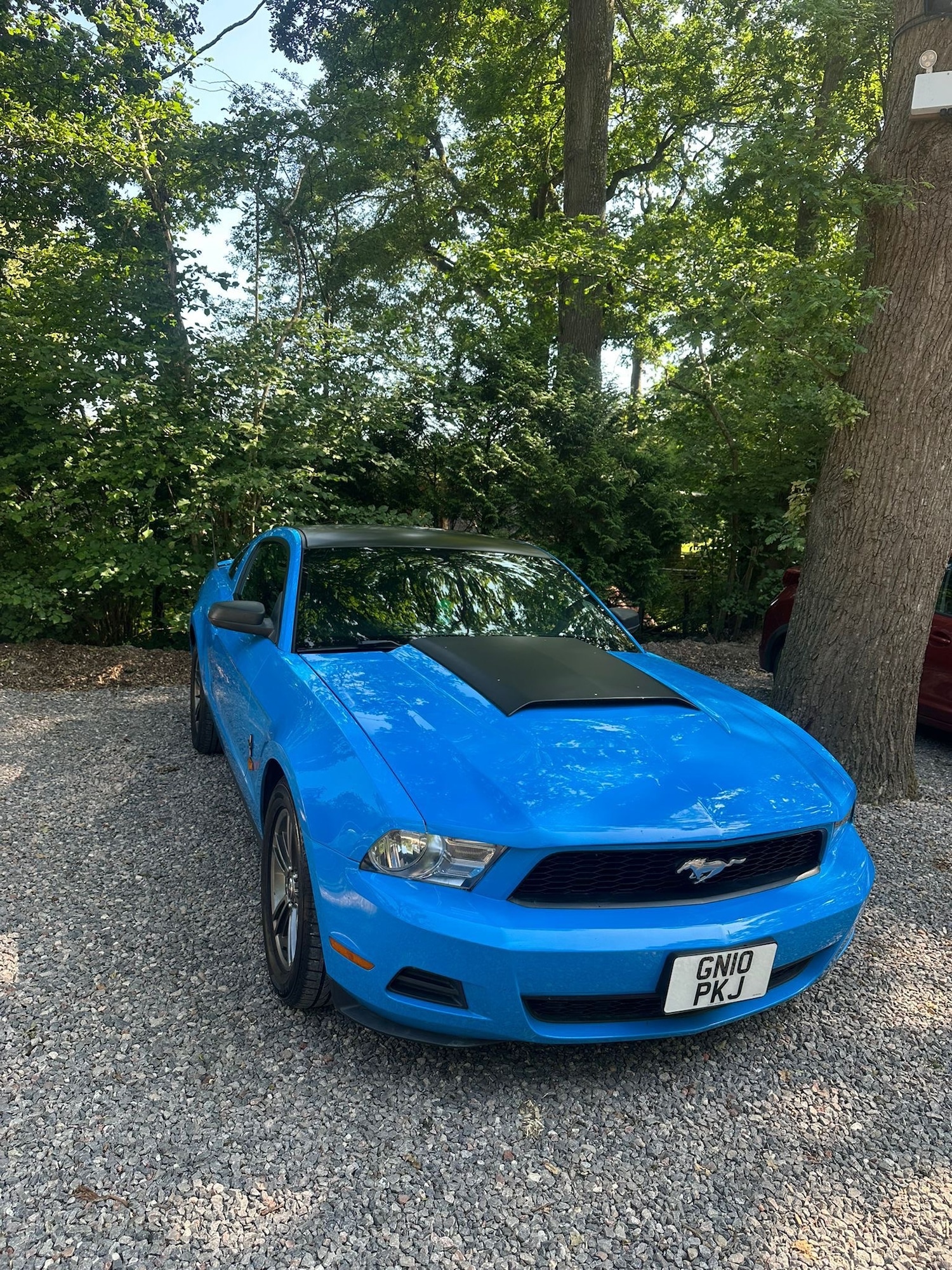 Used Ford Mustang 2012 for sale - 77562430: Photo 7