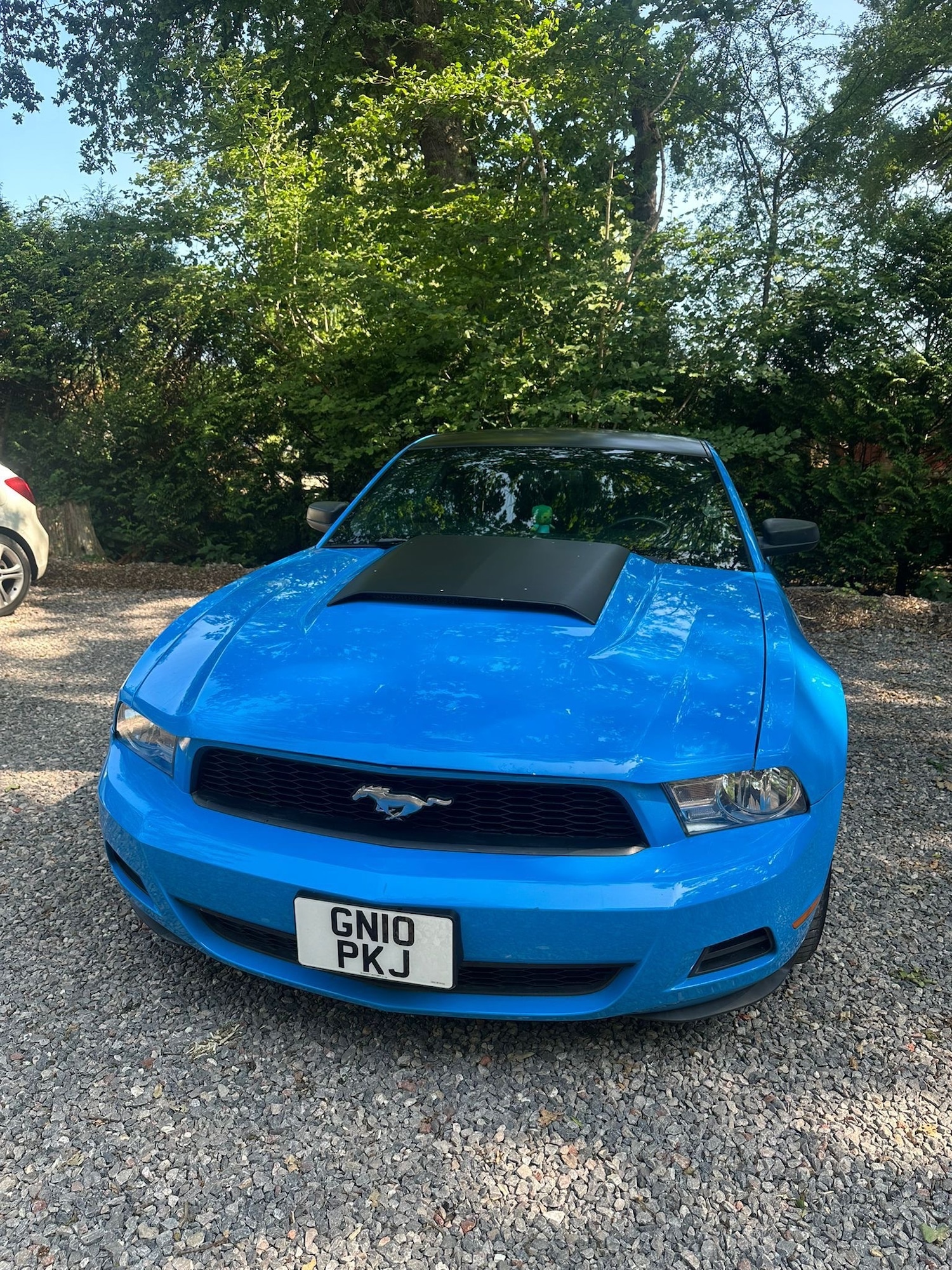 Used Ford Mustang 2012 for sale - 77562430: Photo 9