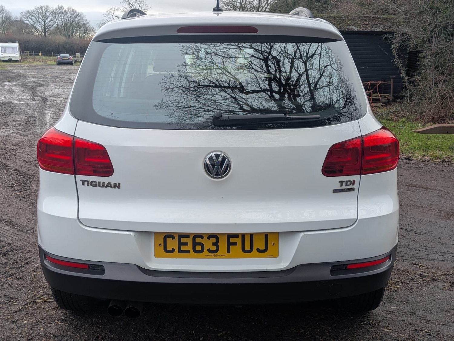 Used Volkswagen Tiguan 2013 for sale - 77196712: Photo 3