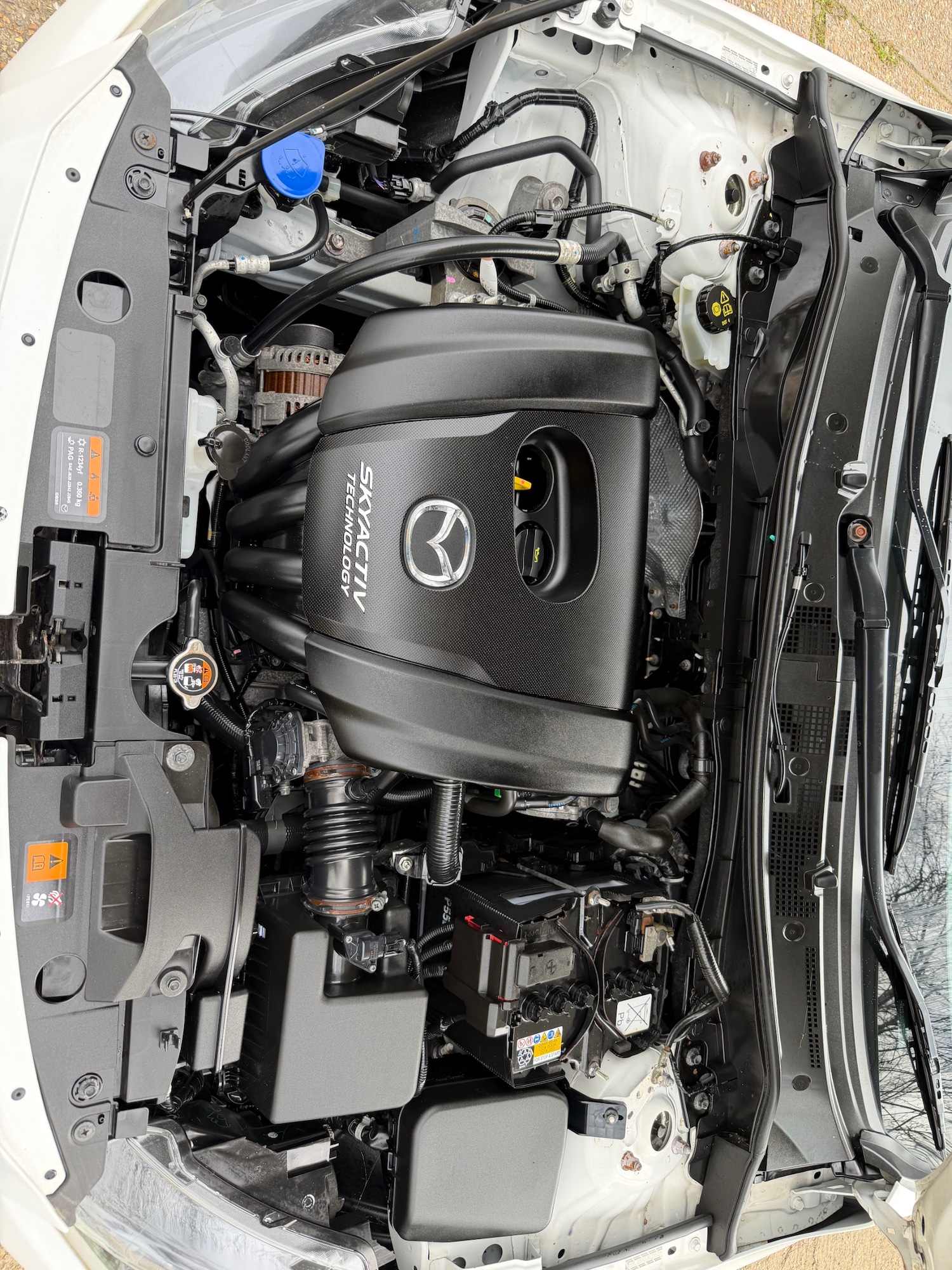 Used Mazda Mazda2 2016 for sale - 77844863: Photo 27