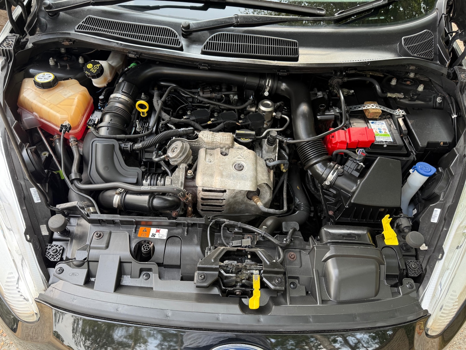 Vehicle 23