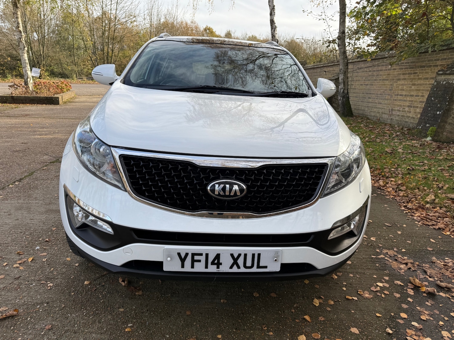 Used Kia Sportage 2014 for sale - 76566454: Photo 3