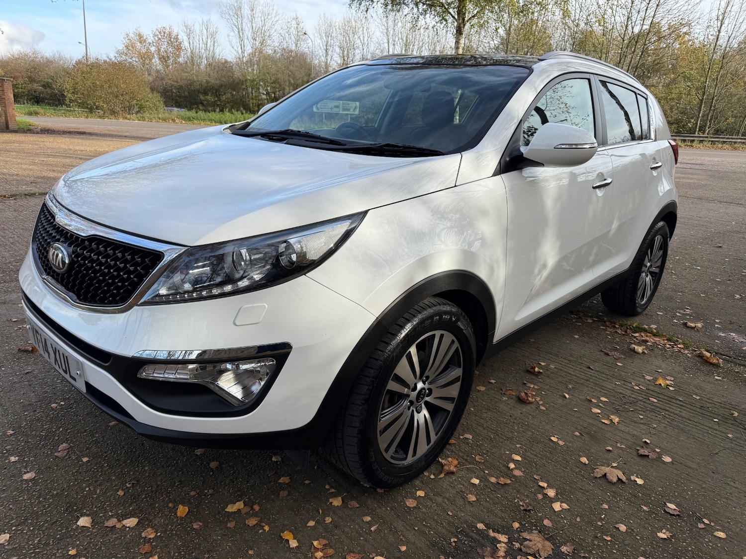 Used Kia Sportage 2014 for sale - 76566454: Photo 4