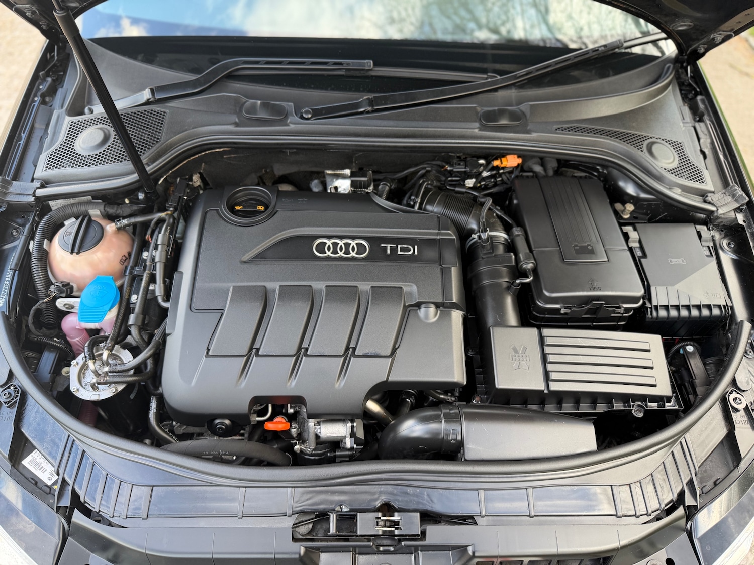 Used Audi A3 2010 for sale - 78067243: Photo 26