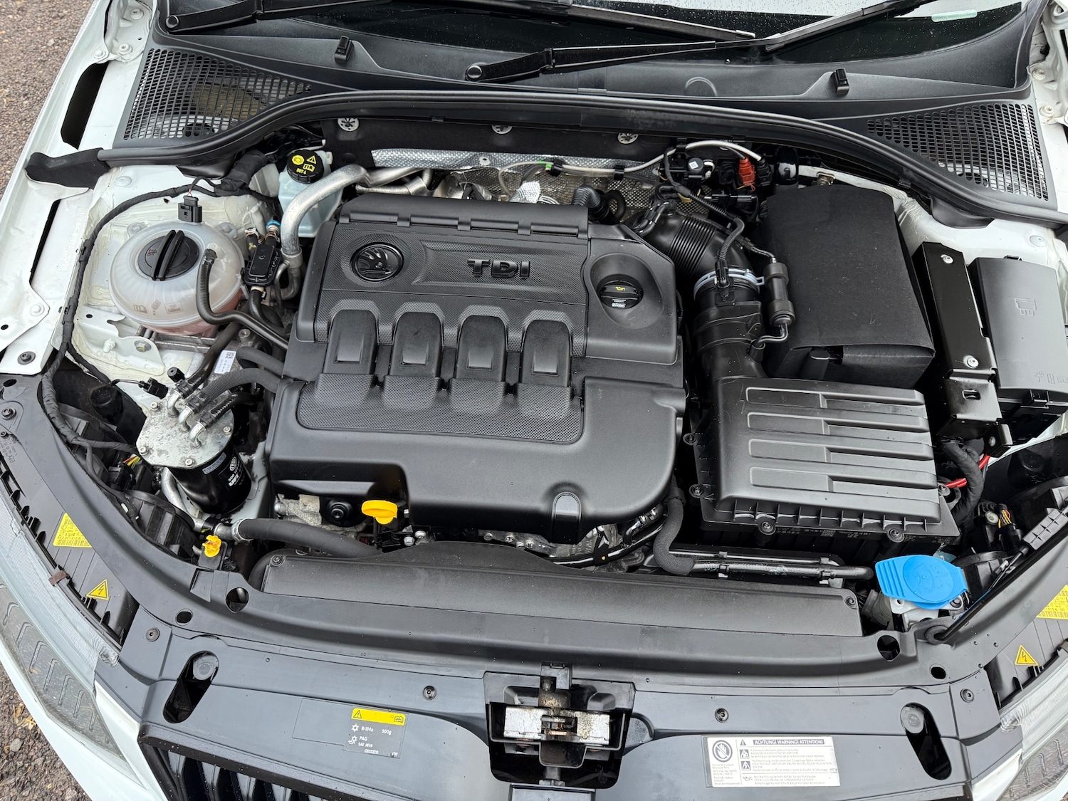 Used Skoda Octavia 2015 for sale - 76881626: Photo 24