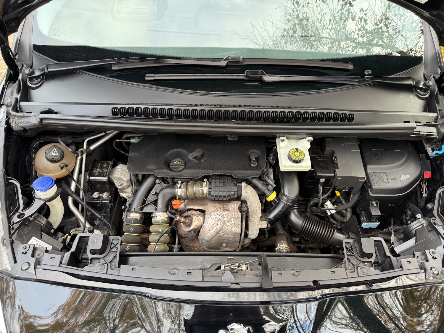 Used Peugeot 5008 2014 for sale - 76492347: Photo 29