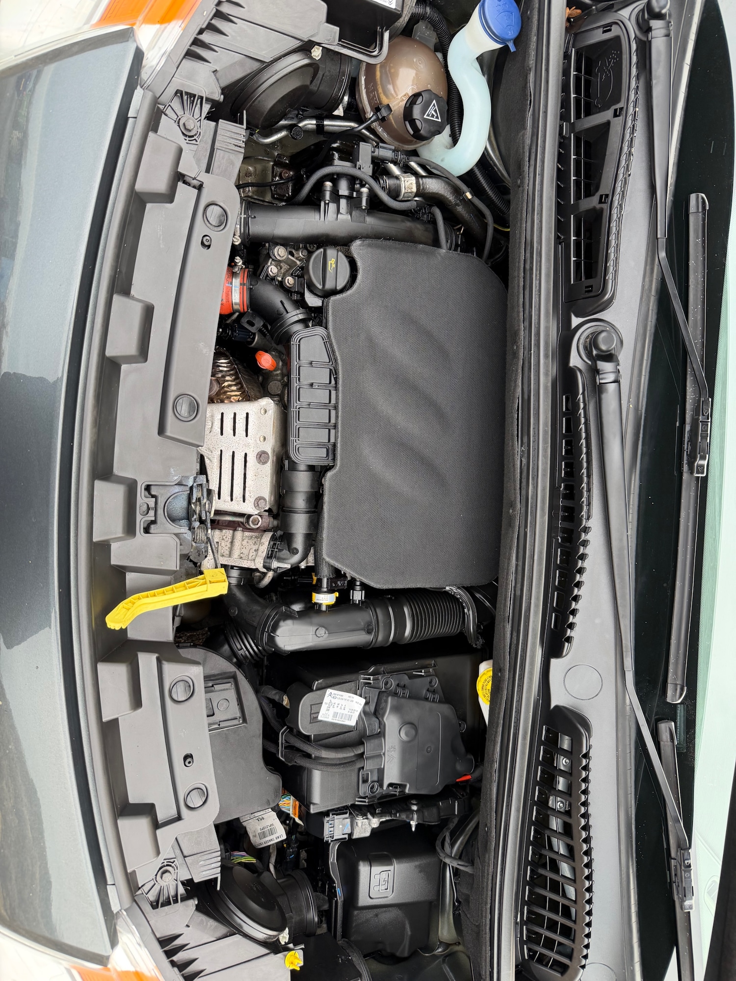 Used Citroen C3 Picasso 2016 for sale - 77337884: Photo 26