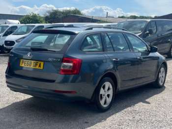 Used Skoda Octavia 2019 for sale - 74954149: Photo
