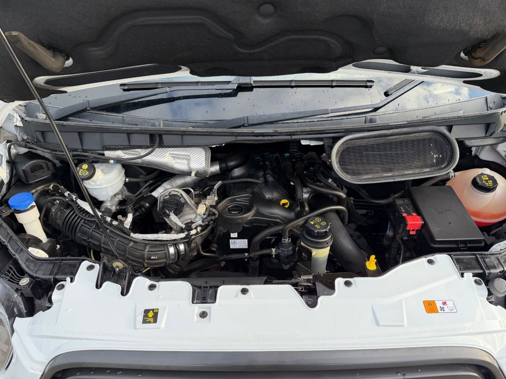 Used Ford Transit 2020 for sale - 77835094: Photo 45