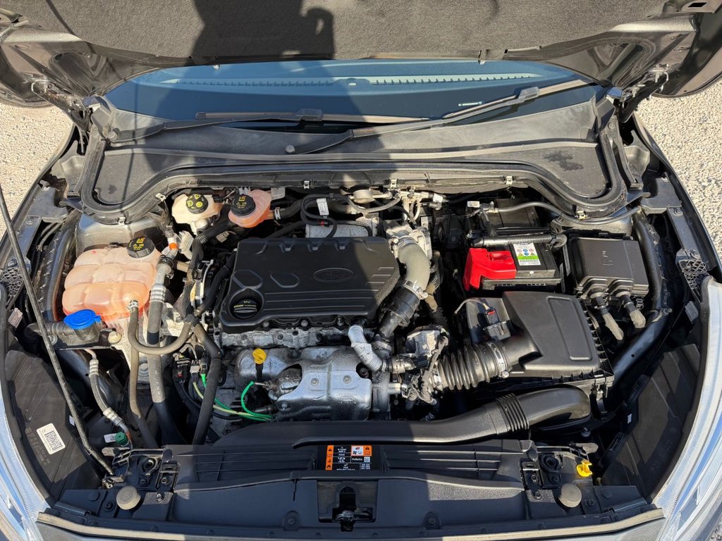 Used Ford Focus 2019 for sale - 77834981: Photo 47