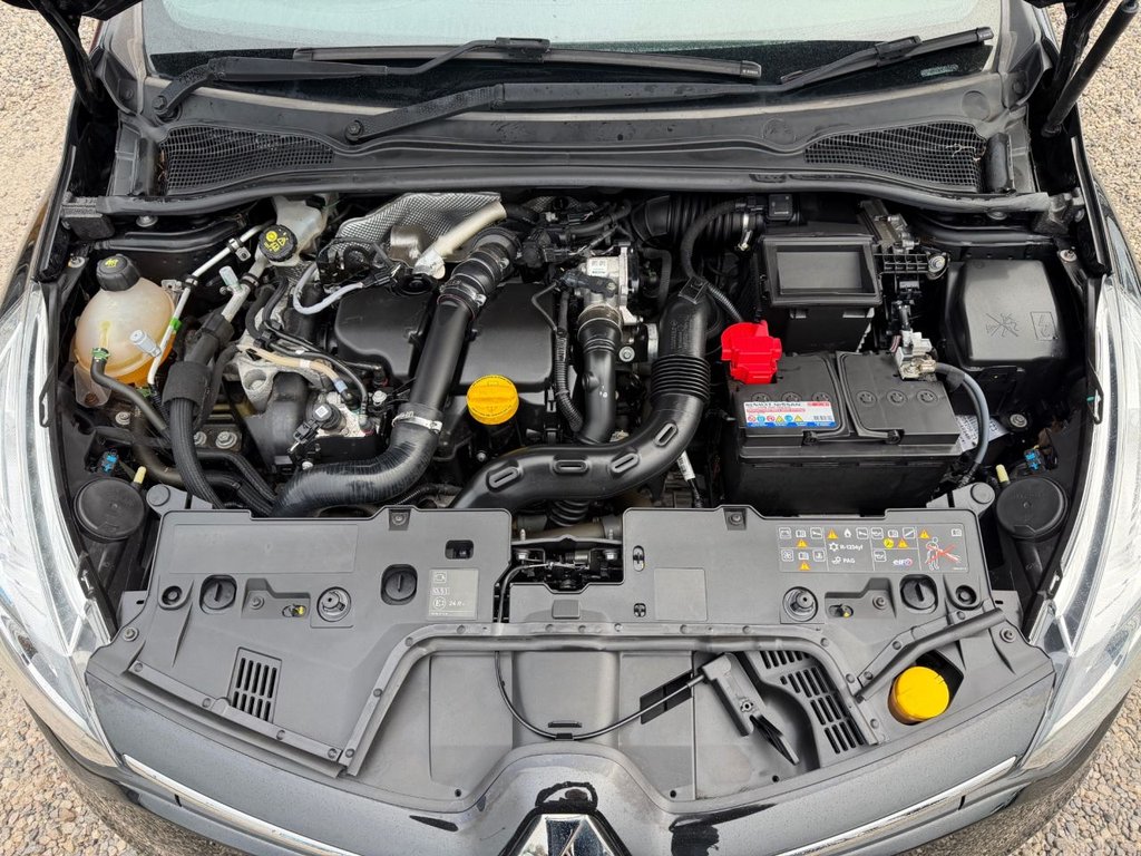 Used Renault Clio 2025 for sale - 76848156: Photo 47