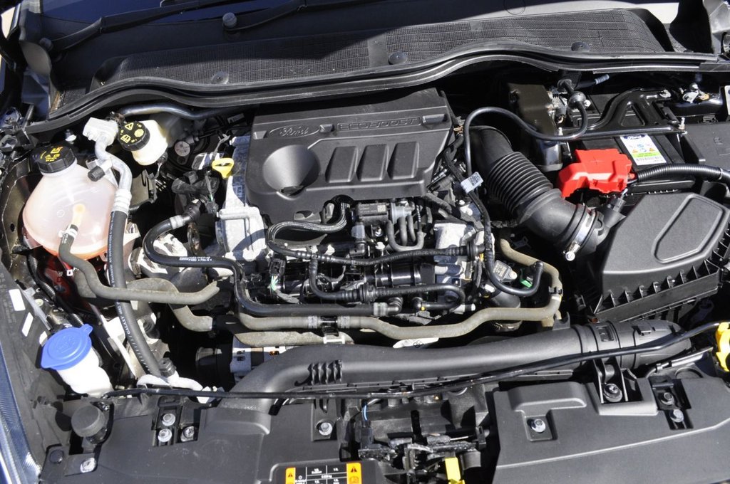 Used Ford Fiesta 2021 for sale - 76386716: Photo 16