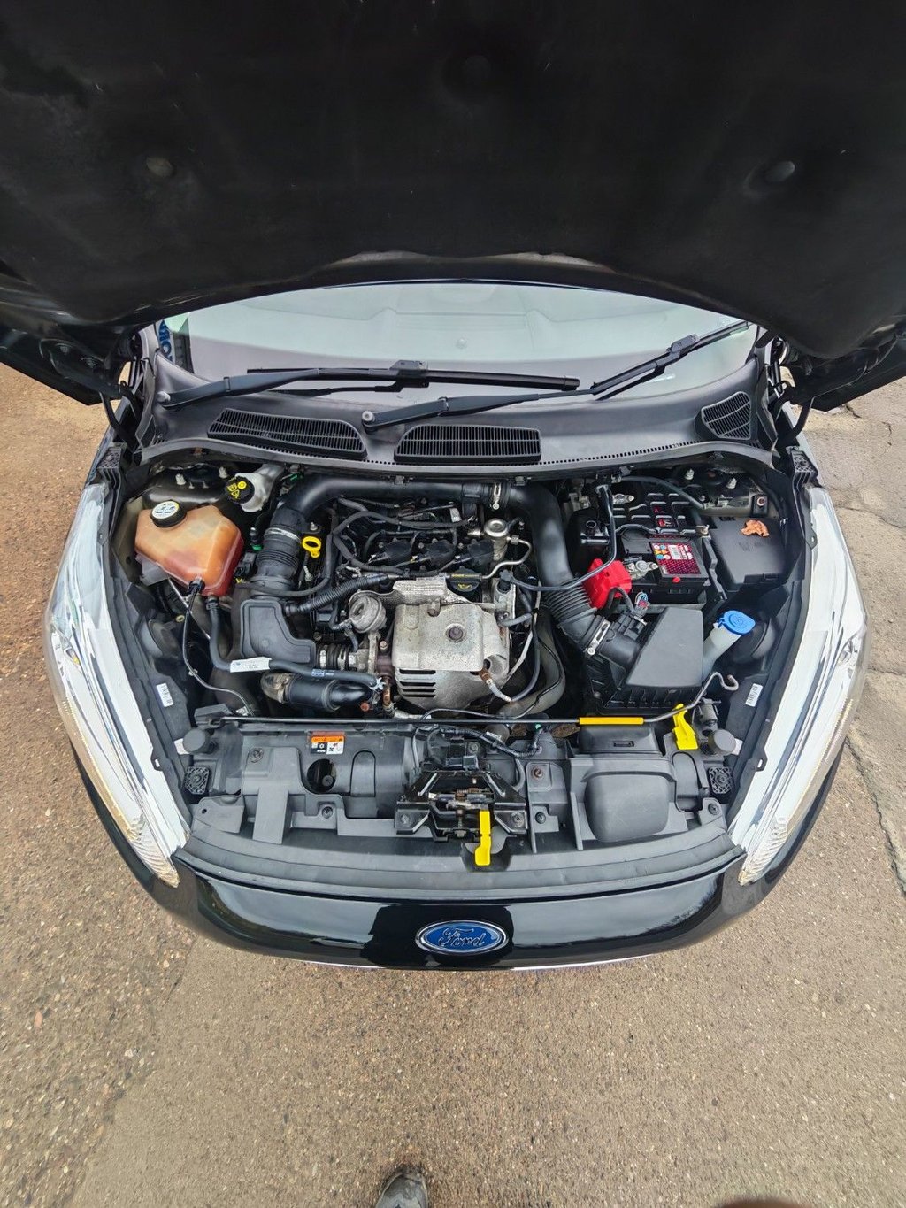 Used Ford Fiesta 2016 for sale - 76973691: Photo 16