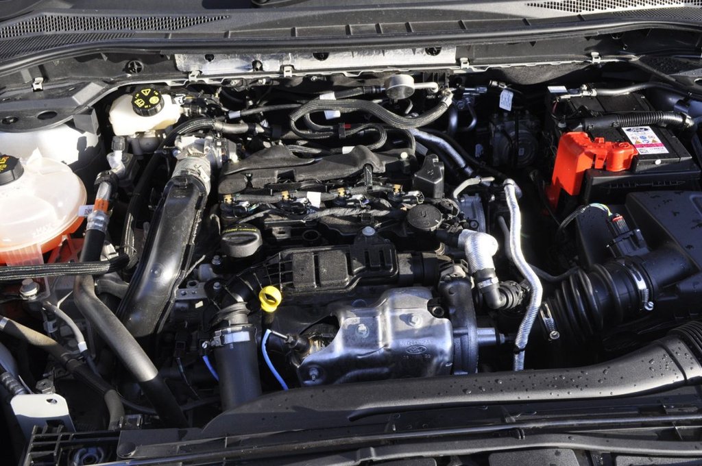 Used Ford Kuga 2022 for sale - 77384641: Photo 13