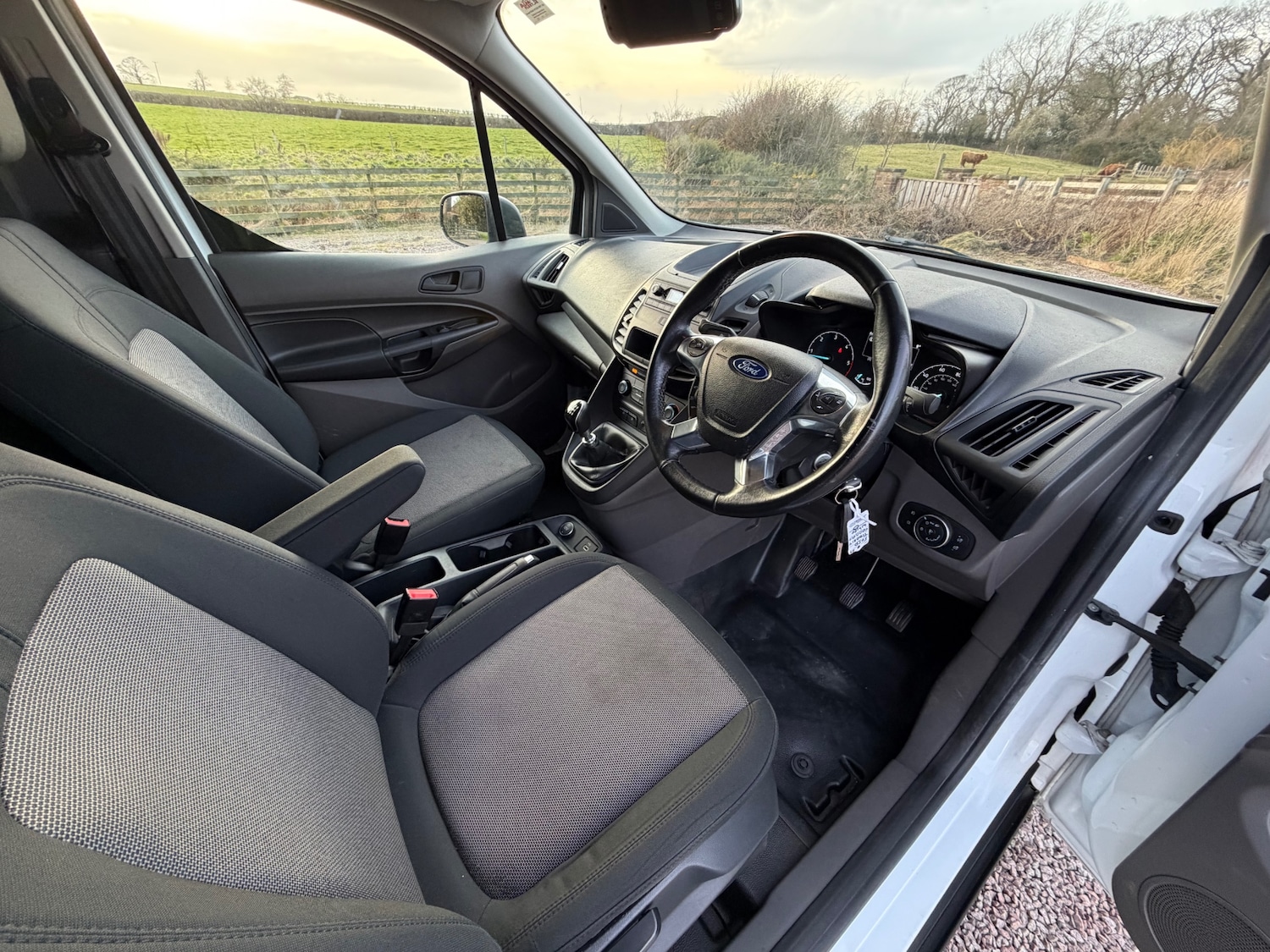 Used Ford Transit Connect 2019 for sale - 77834664: Photo 5