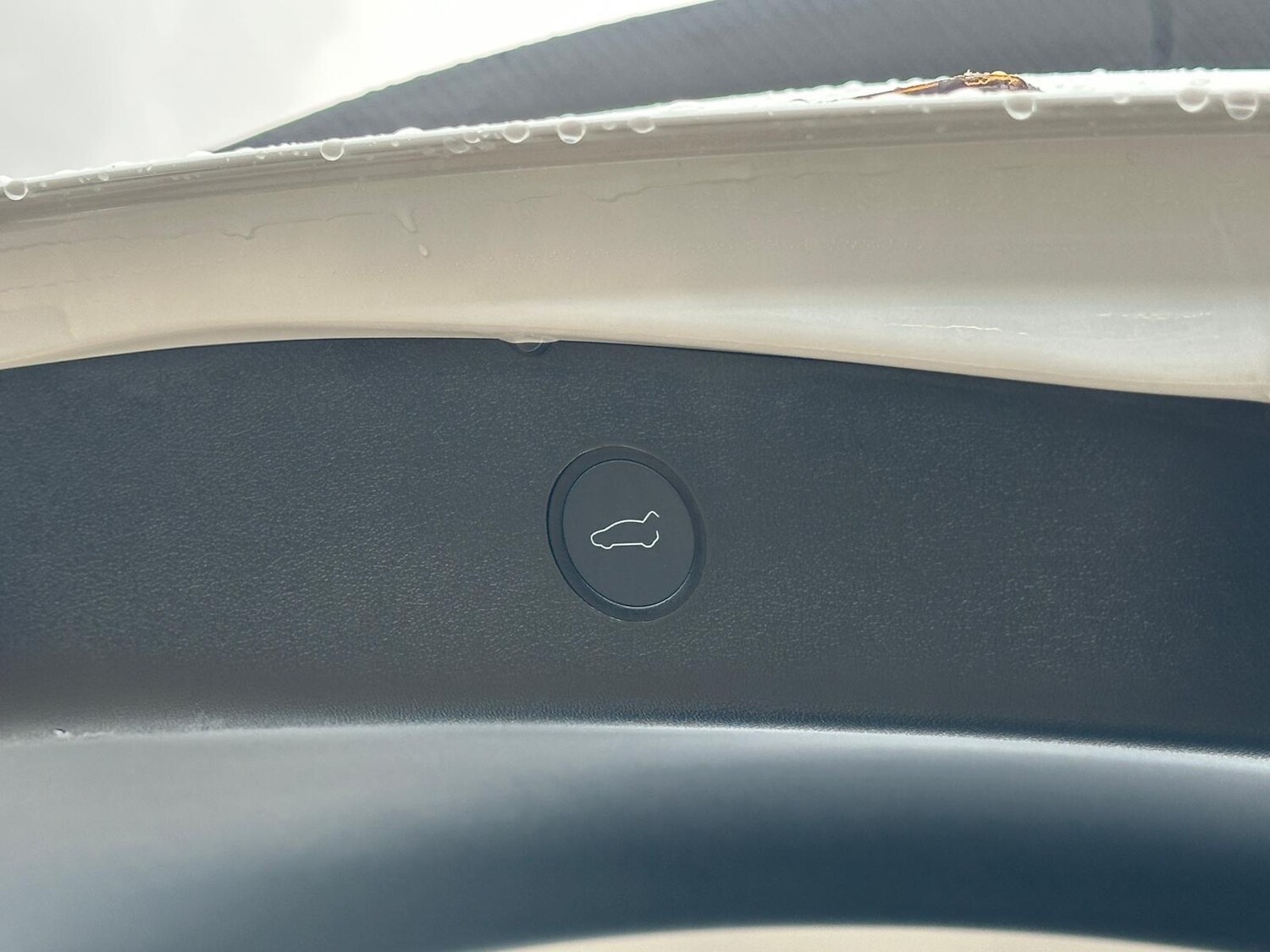 Used Tesla Model 3 2021 for sale - 77345321: Photo 25