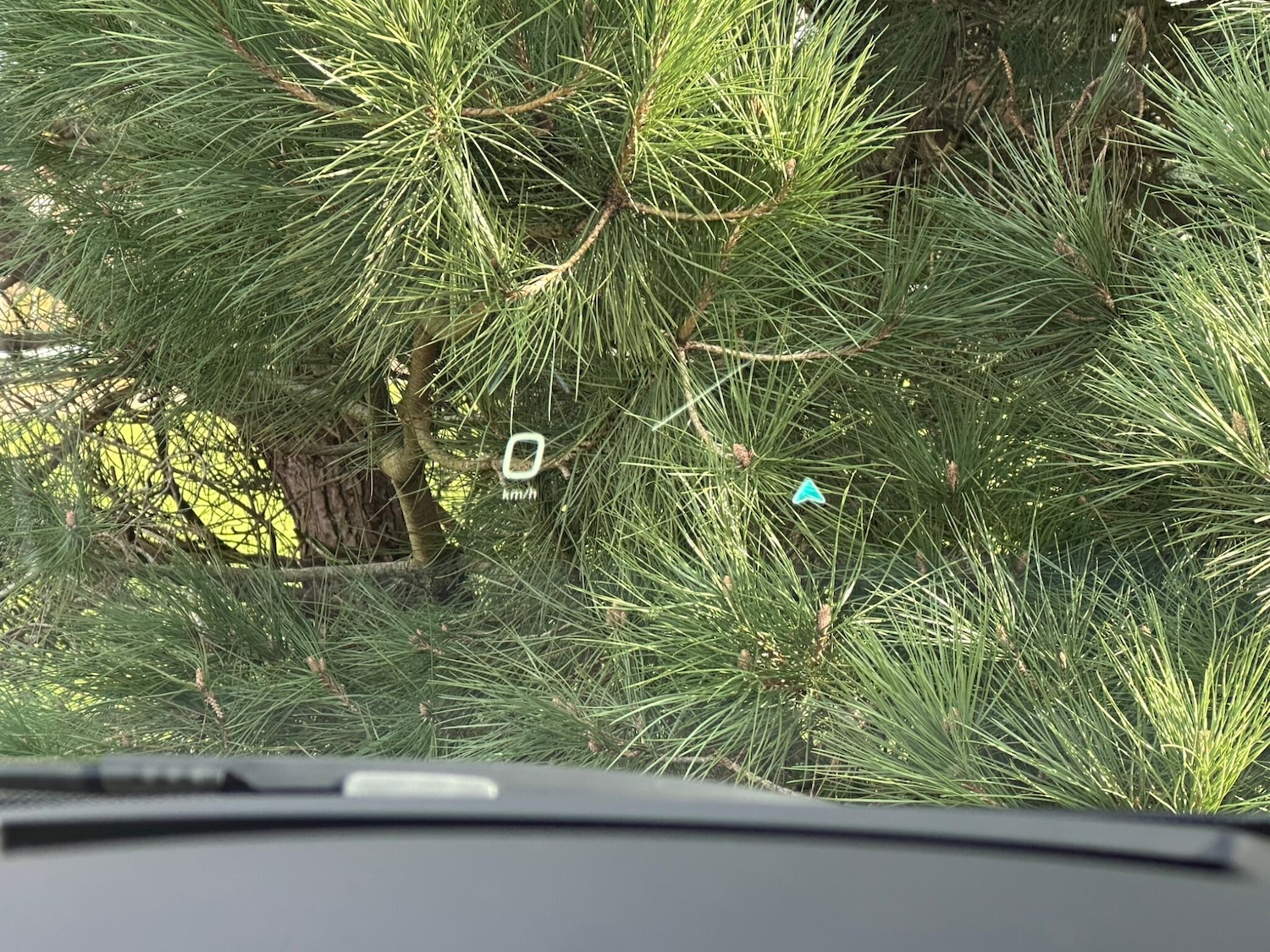 Used Maserati Other 2023 for sale - 77266898: Photo 46