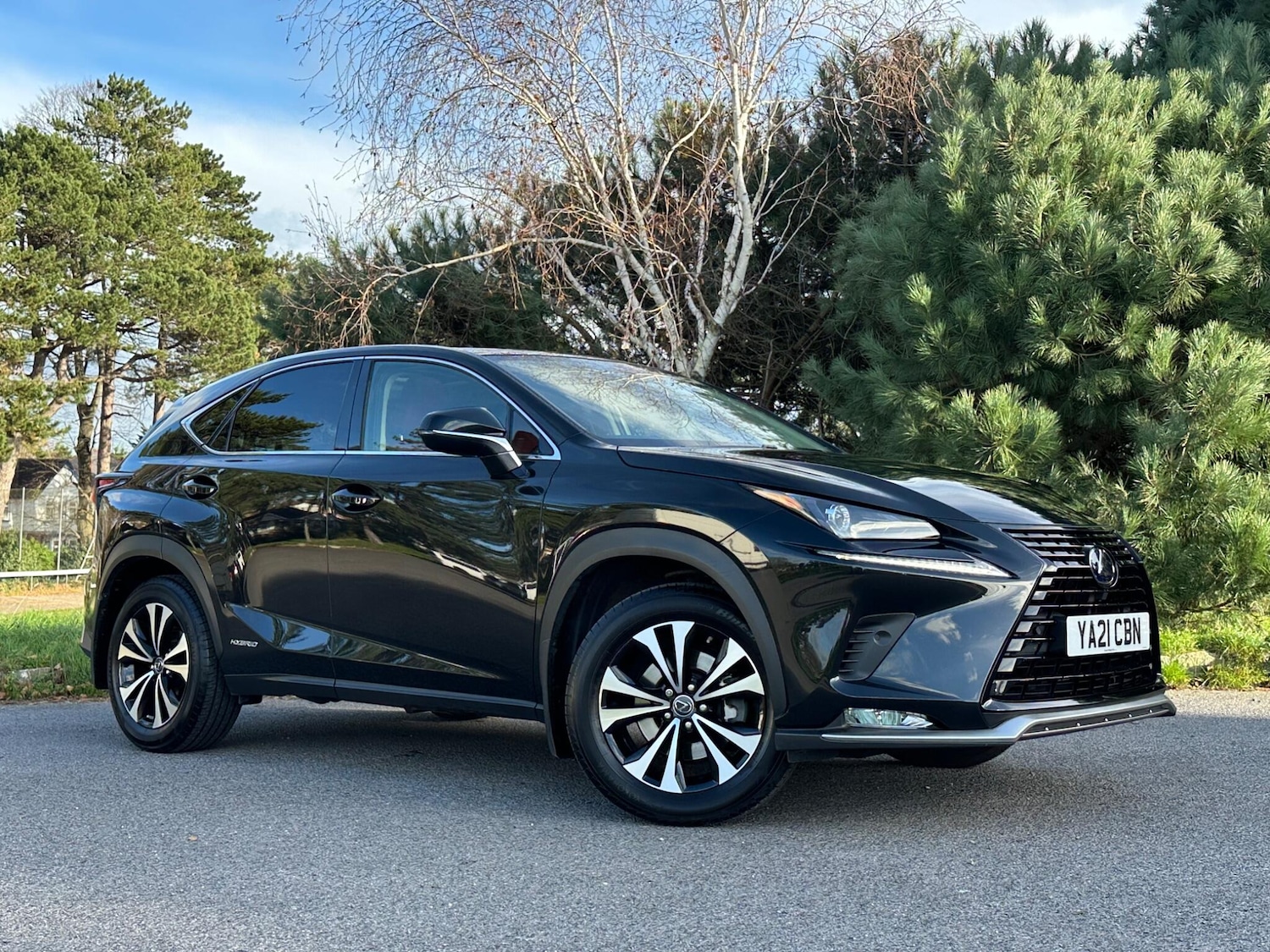 Used Lexus NX for sale - 76802326: Photo 1