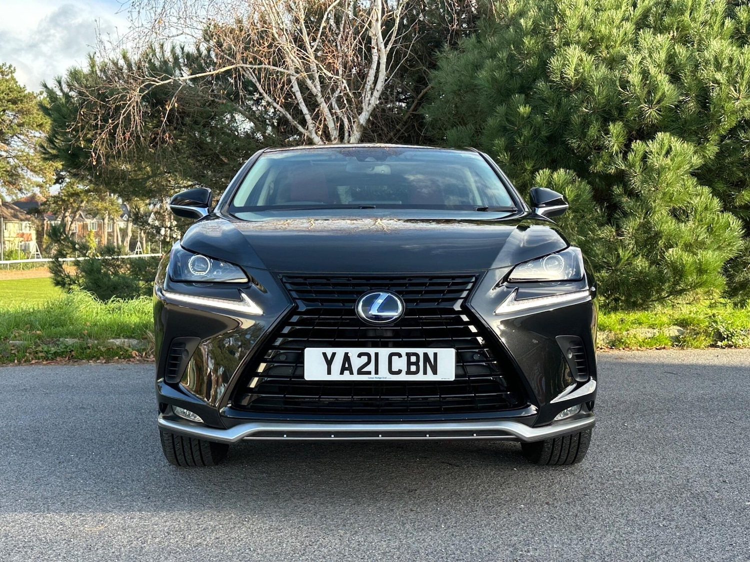 Used Lexus NX for sale - 76802326: Photo 10