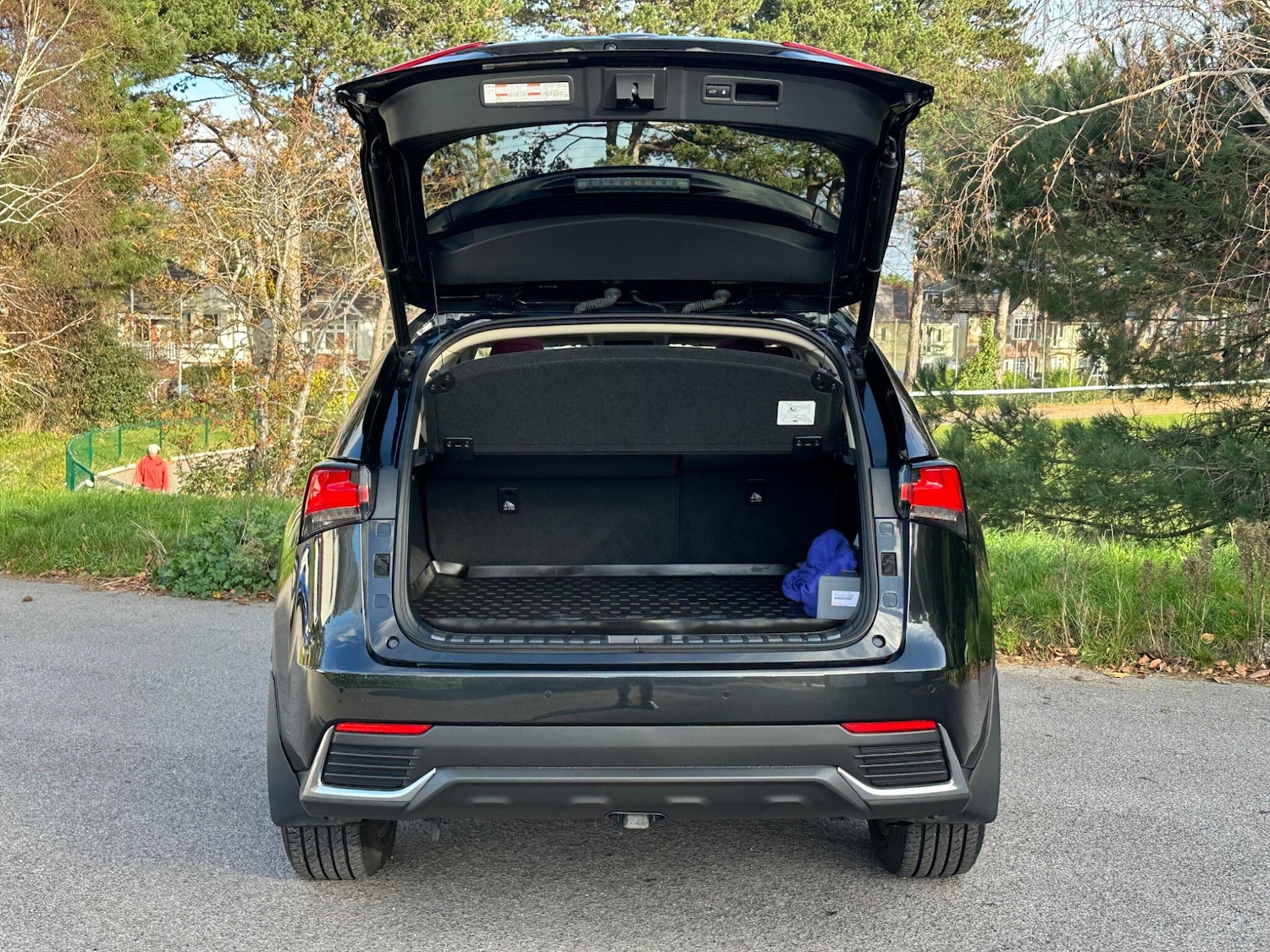 Used Lexus NX for sale - 76802326: Photo 12