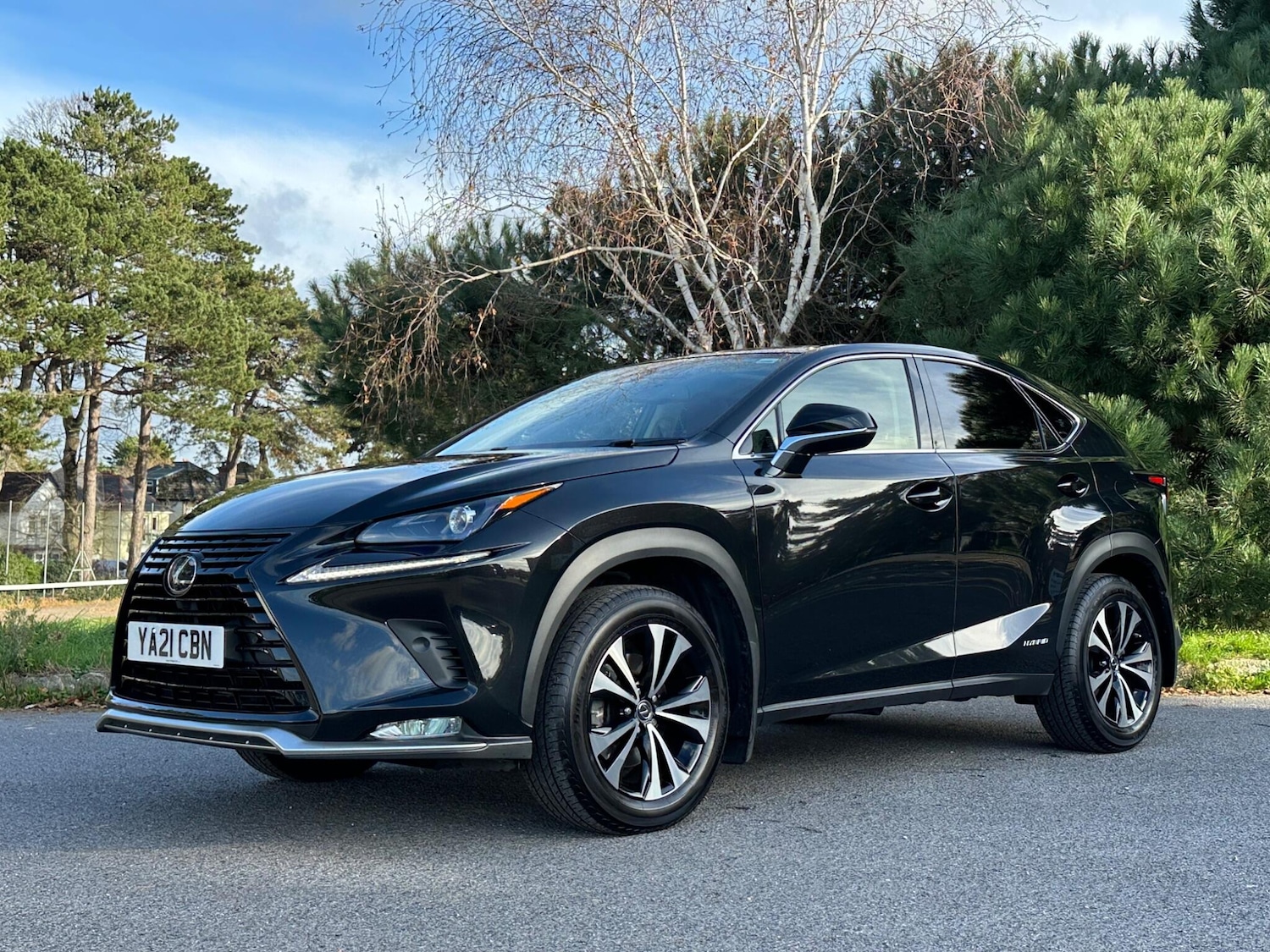 Used Lexus NX for sale - 76802326: Photo 14