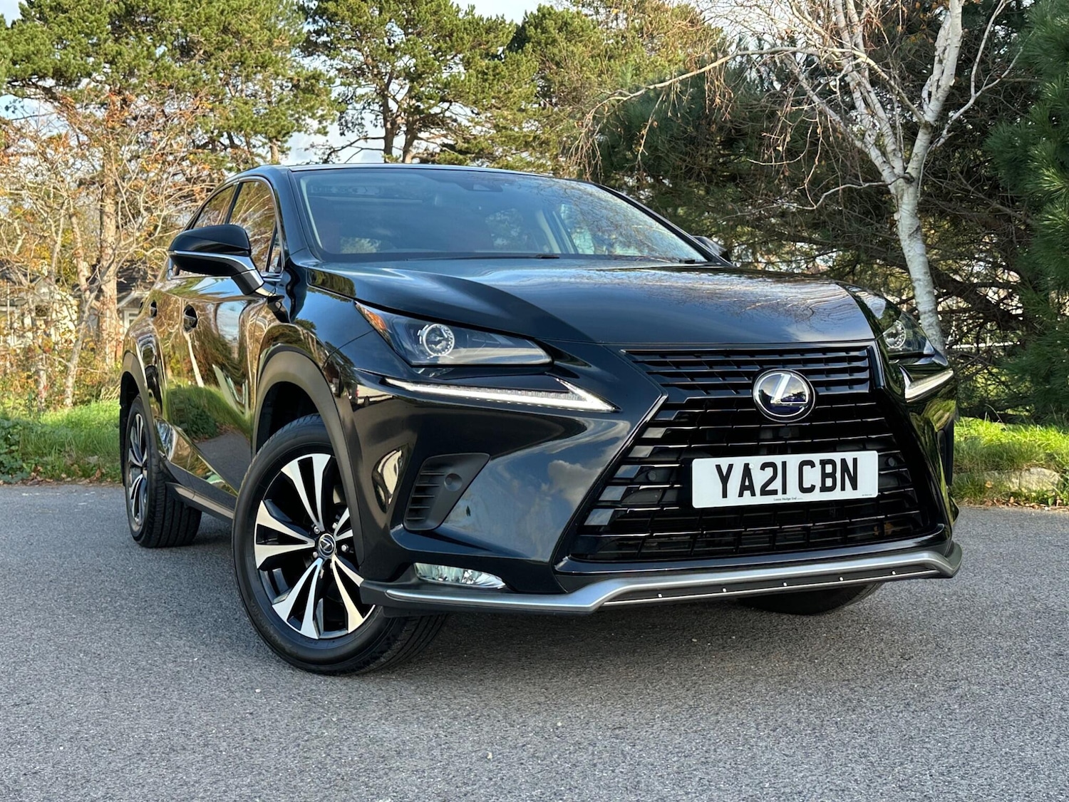 Used Lexus NX for sale - 76802326: Photo 22