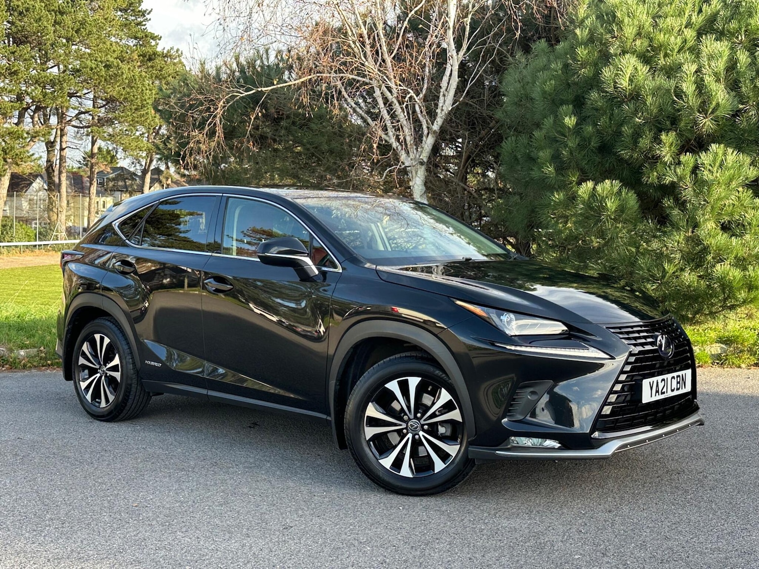 Used Lexus NX for sale - 76802326: Photo 23