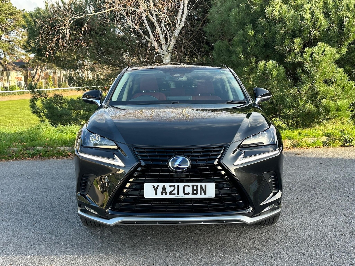 Used Lexus NX for sale - 76802326: Photo 24