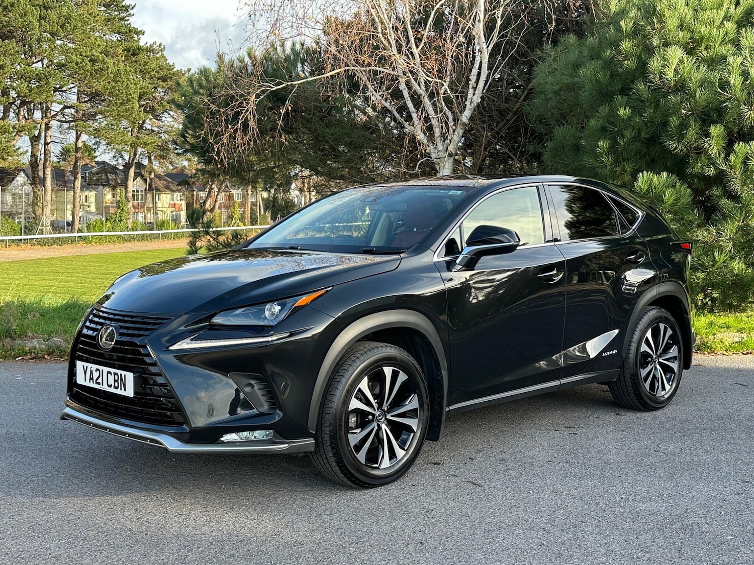 Used Lexus NX for sale - 76802326: Photo 25