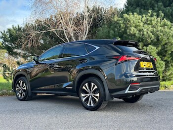 Used Lexus NX 2021 for sale - 76802326: Photo