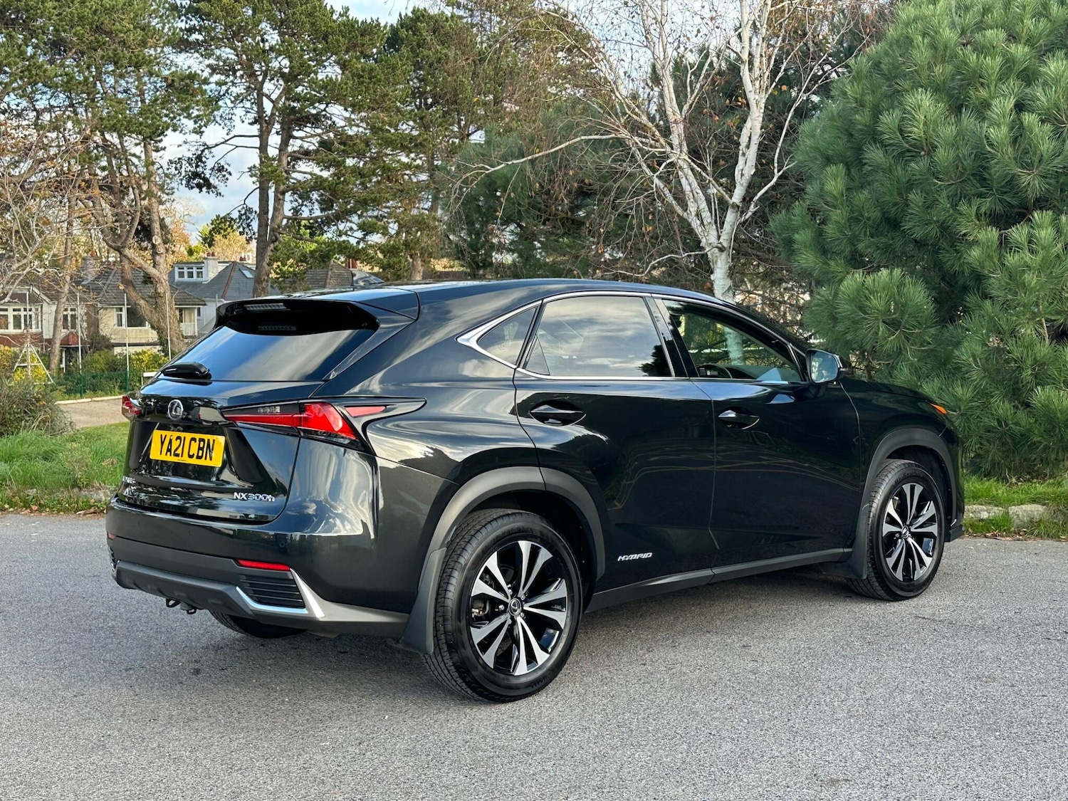 Used Lexus NX for sale - 76802326: Photo 30