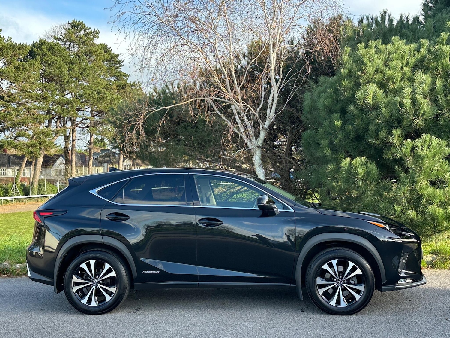 Used Lexus NX for sale - 76802326: Photo 5