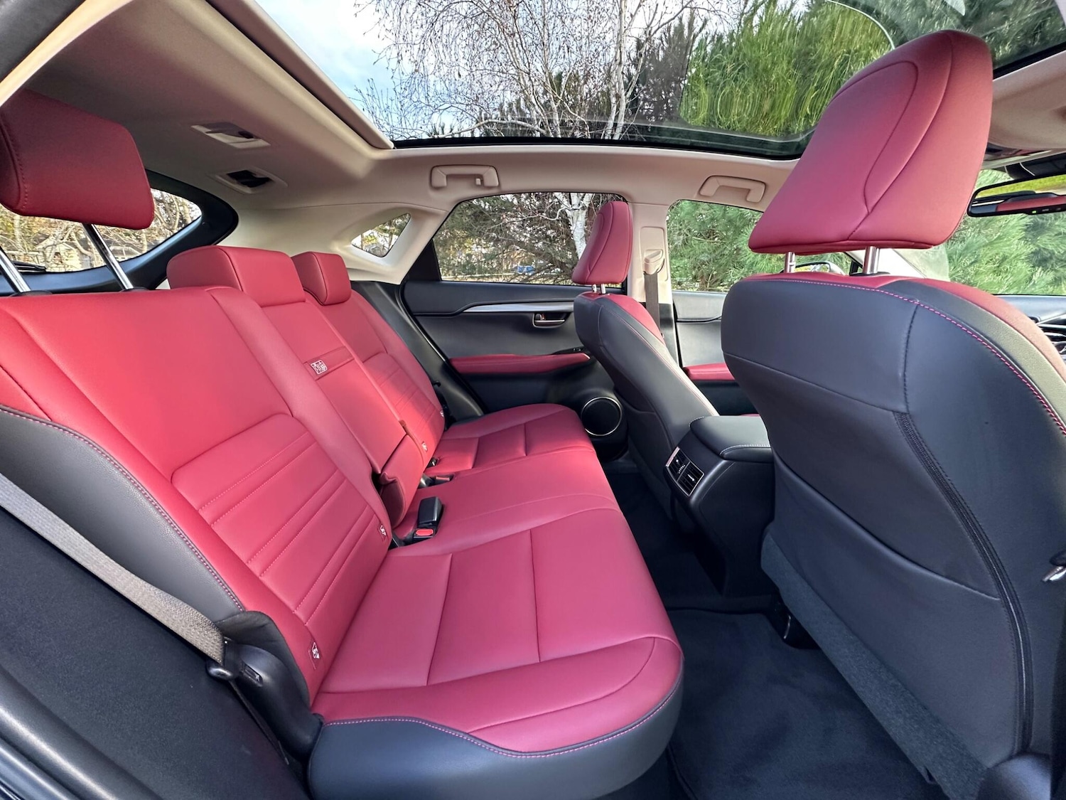 Used Lexus NX for sale - 76802326: Photo 6