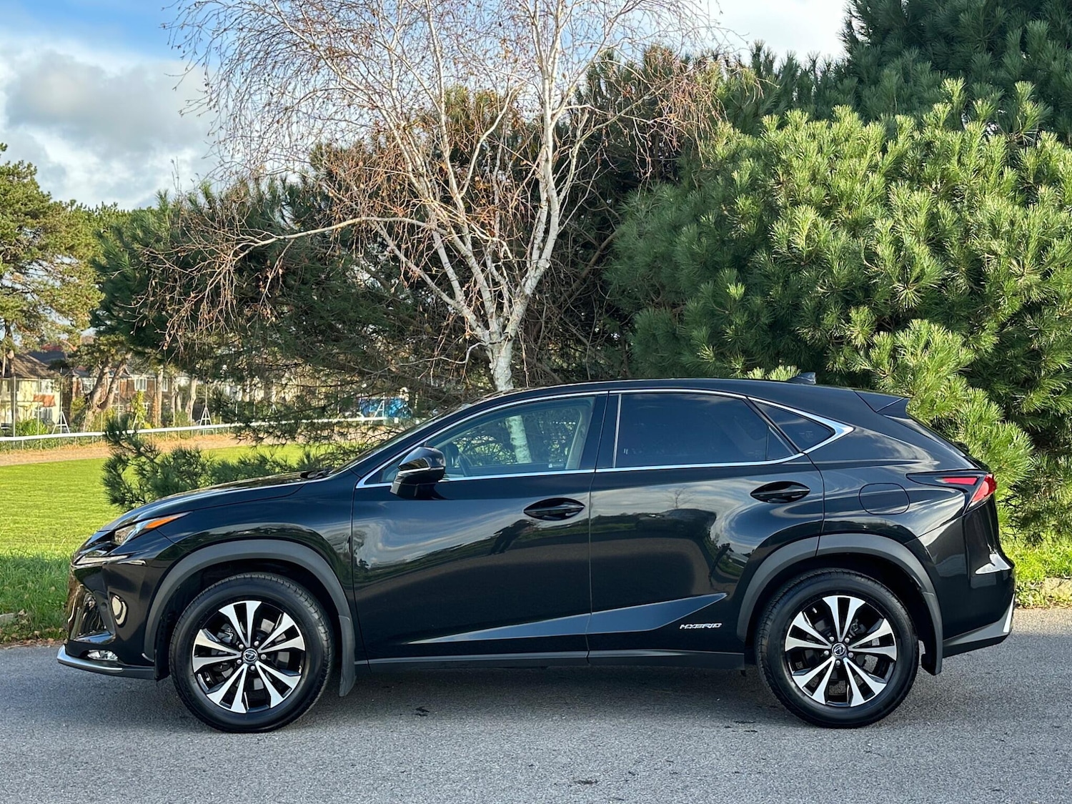 Used Lexus NX for sale - 76802326: Photo 8