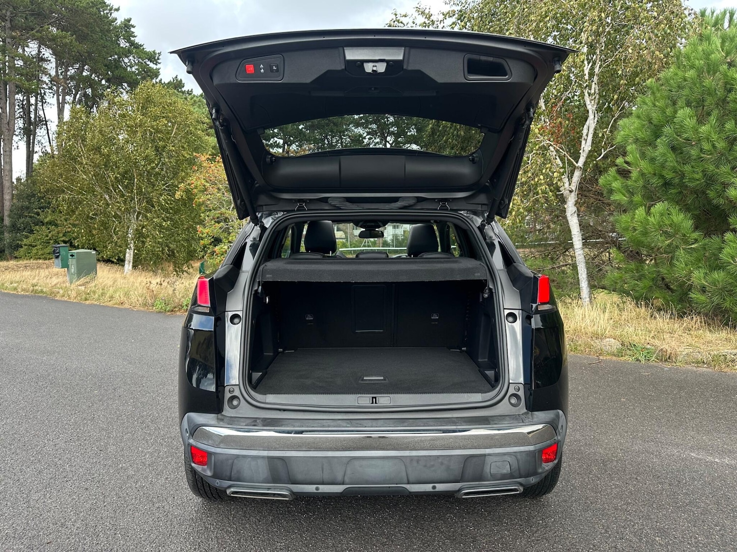 Used Peugeot 3008 for sale - 76802361: Photo 13