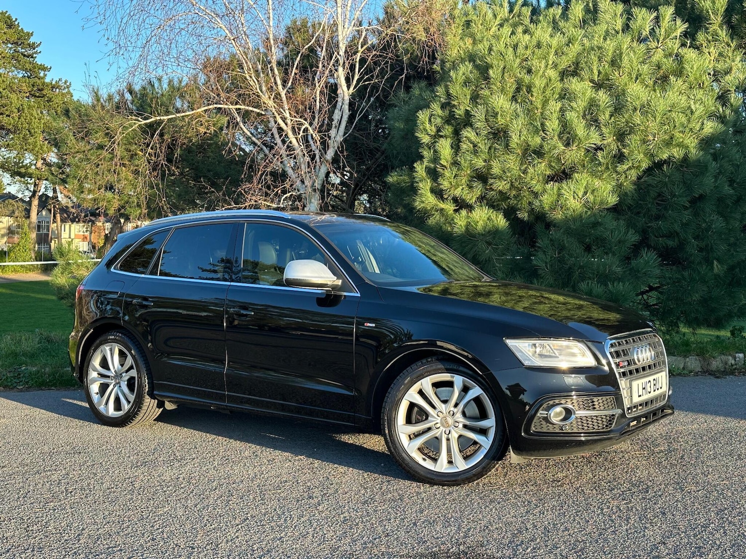 Used Audi SQ5 2013 for sale - 77040413: Photo 25