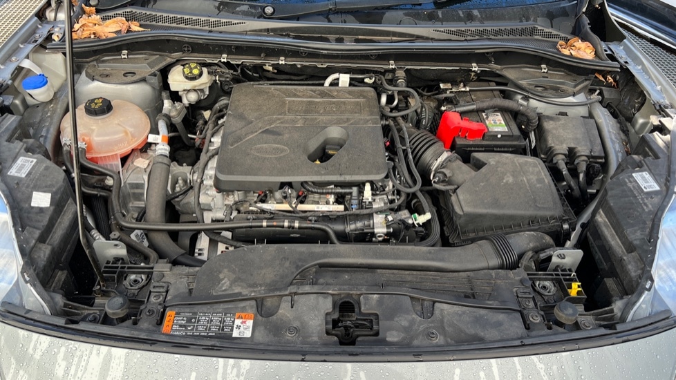 Used Ford Kuga 2020 for sale - 77025554: Photo 16