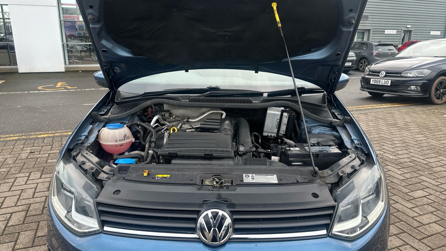 Used Volkswagen Polo 2017 for sale - 77493214: Photo 8