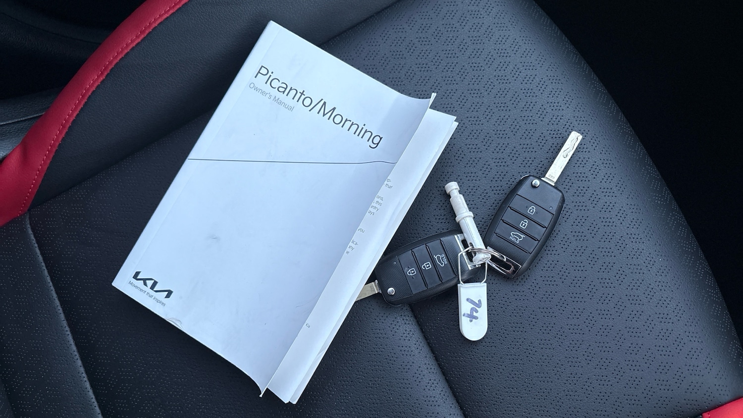 Used Kia Picanto 2024 for sale - 77651041: Photo 19