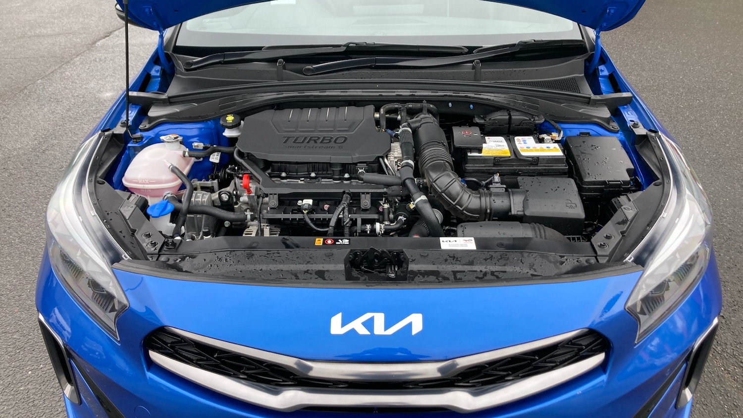 Used Kia XCeed 2024 for sale - 75995695: Photo 8