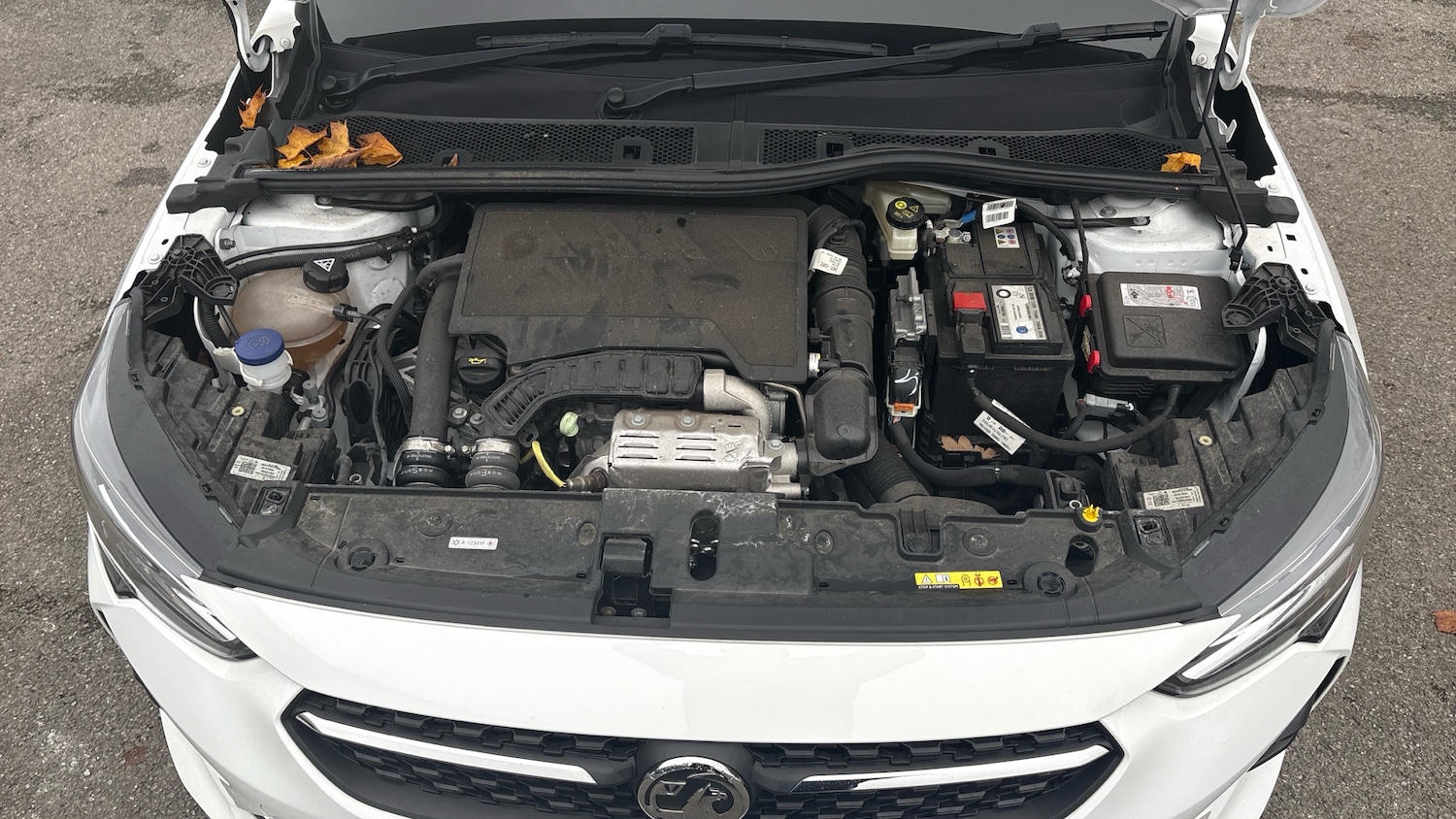 Used Vauxhall Corsa 2021 for sale - 76519254: Photo 8